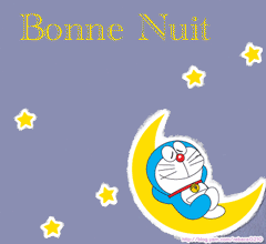 bonne nuit chat